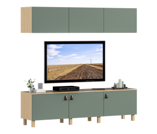 Гостиная (стенка) на ножках Тренд Дуб Винченца / ЛДСП Белла Камыш