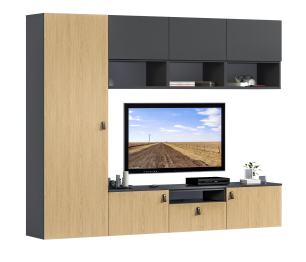 Гостиная (стенка) Тренд Диамант серый / ЛДСП Белла Диамант серый, Дуб Винченца